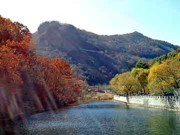 正版澳门天天开彩大全，强化地面